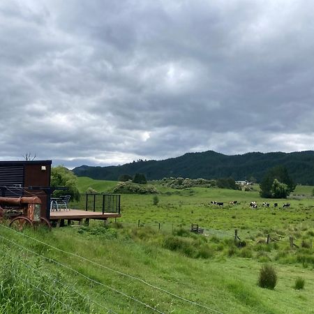 White Pine Bush Cabins Taneatua Ngoại thất bức ảnh