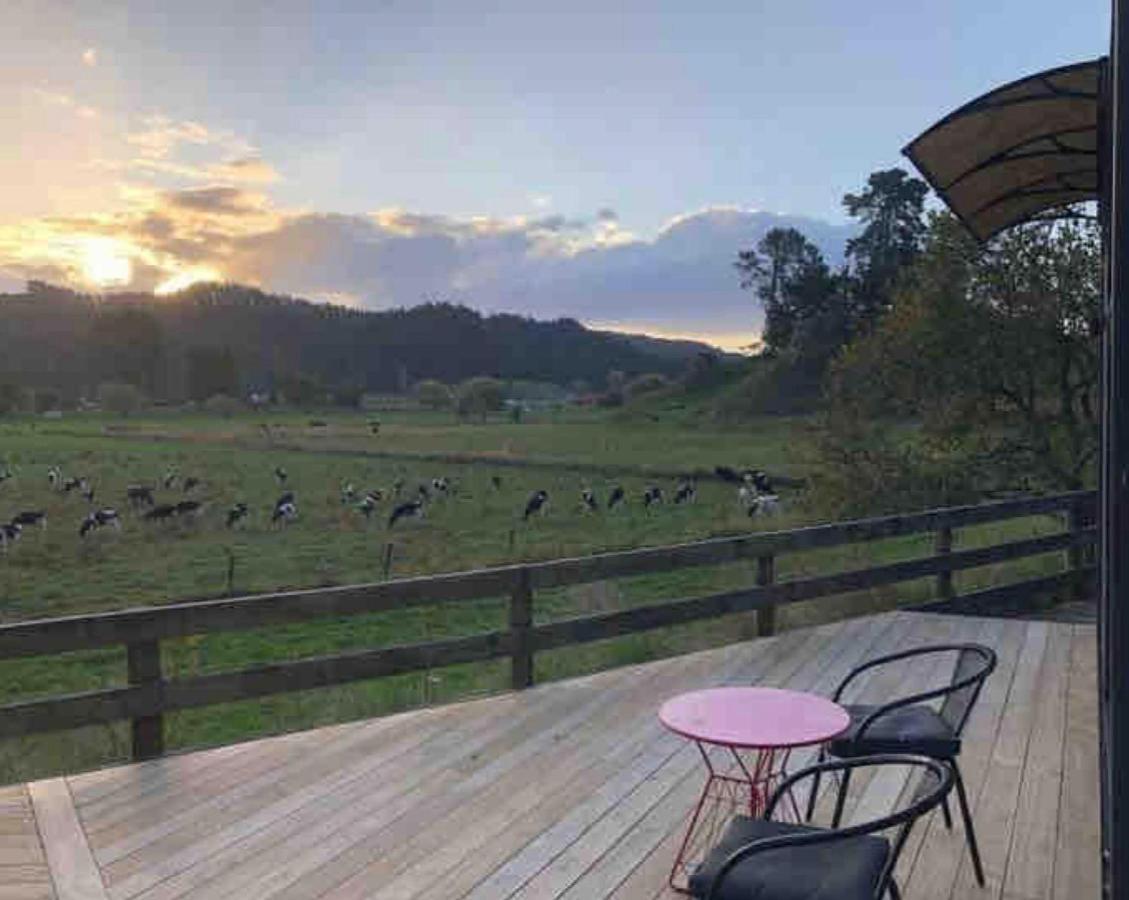 White Pine Bush Cabins Taneatua Ngoại thất bức ảnh