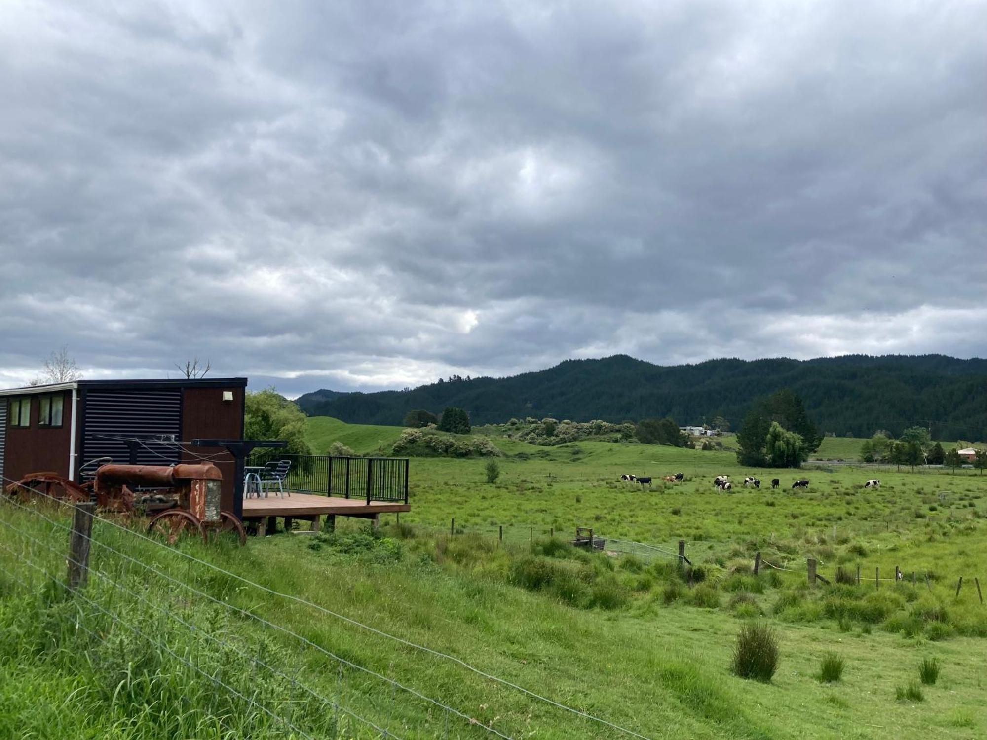 White Pine Bush Cabins Taneatua Ngoại thất bức ảnh